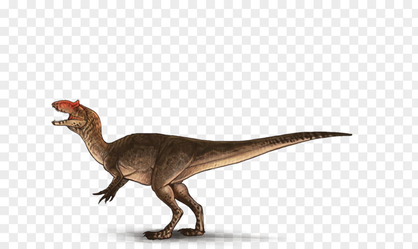 Allosaurus Lucasi Tyrannosaurus Velociraptor Terrestrial Animal PNG
