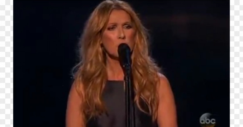 Celine Dion Singing Singer-songwriter Brown Hair Blond PNG