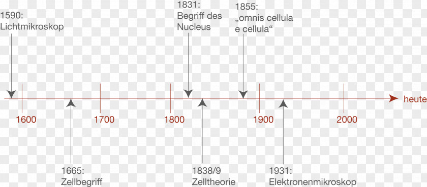 Design Line Angle PNG