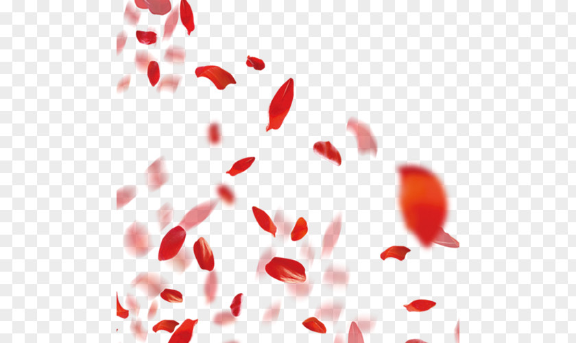 Falling Petals Petal PNG