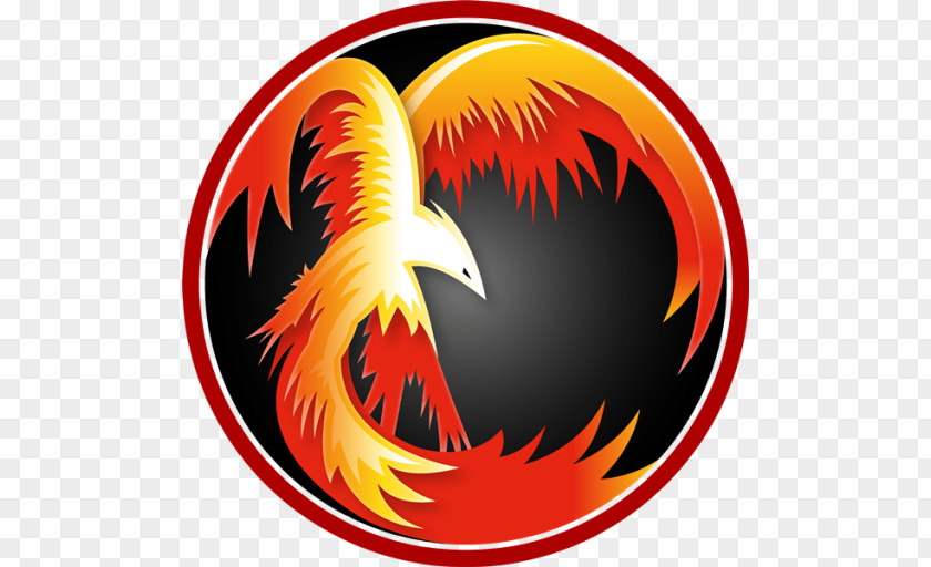 Logo Feng Shui Phoenix Design Dragon PNG