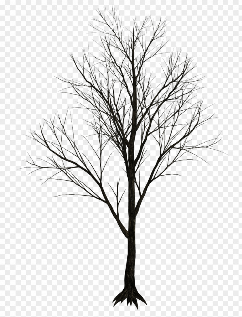 Dark Tree Drawing Clip Art PNG