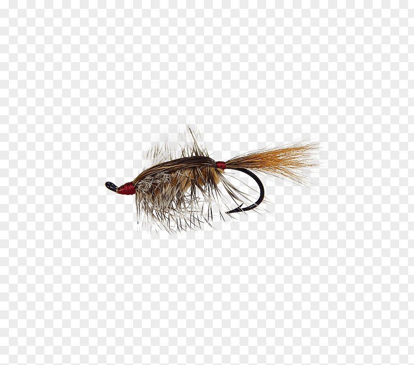 Fly Fishing Flies Product Holly Bed Head Rainbow Trout Artificial PNG