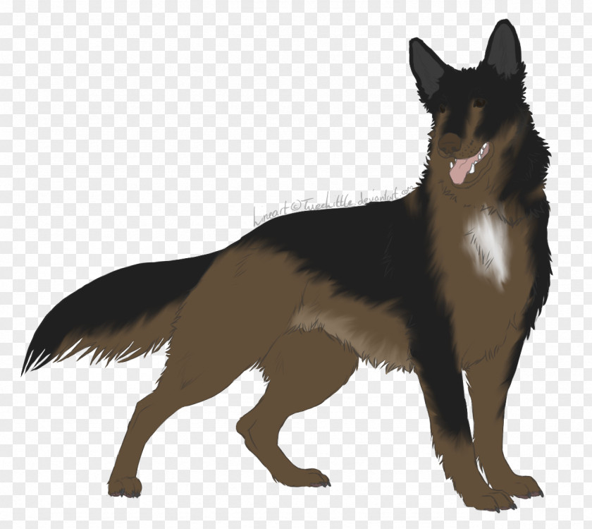 Shepherd German Tervuren White Kunming Wolfdog Australian Kelpie PNG