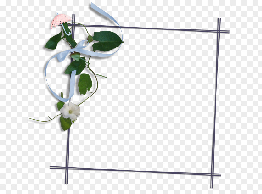 Transparent Flower Image Download Fuyan Central Kindergarten Design PNG