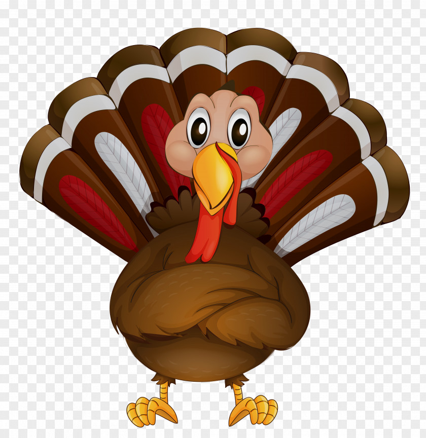 Transparent Thanksgiving Turkey Clipart Bird Parrot Clip Art PNG
