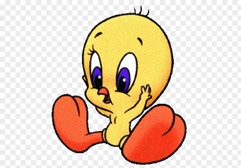 Bird Tweety Looney Tunes Image Drawing PNG