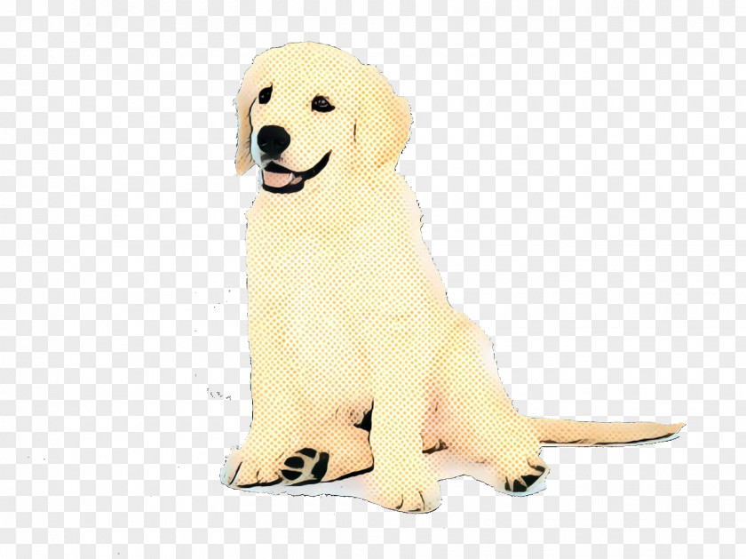 Dog Toy Fur Golden Retriever Background PNG