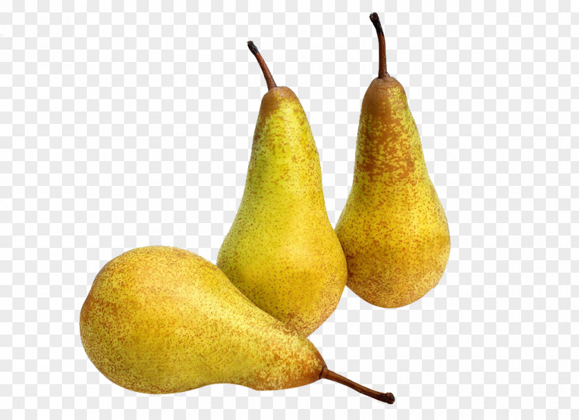 Korla Pear Conference Asian Fruit Stock Photography PNG