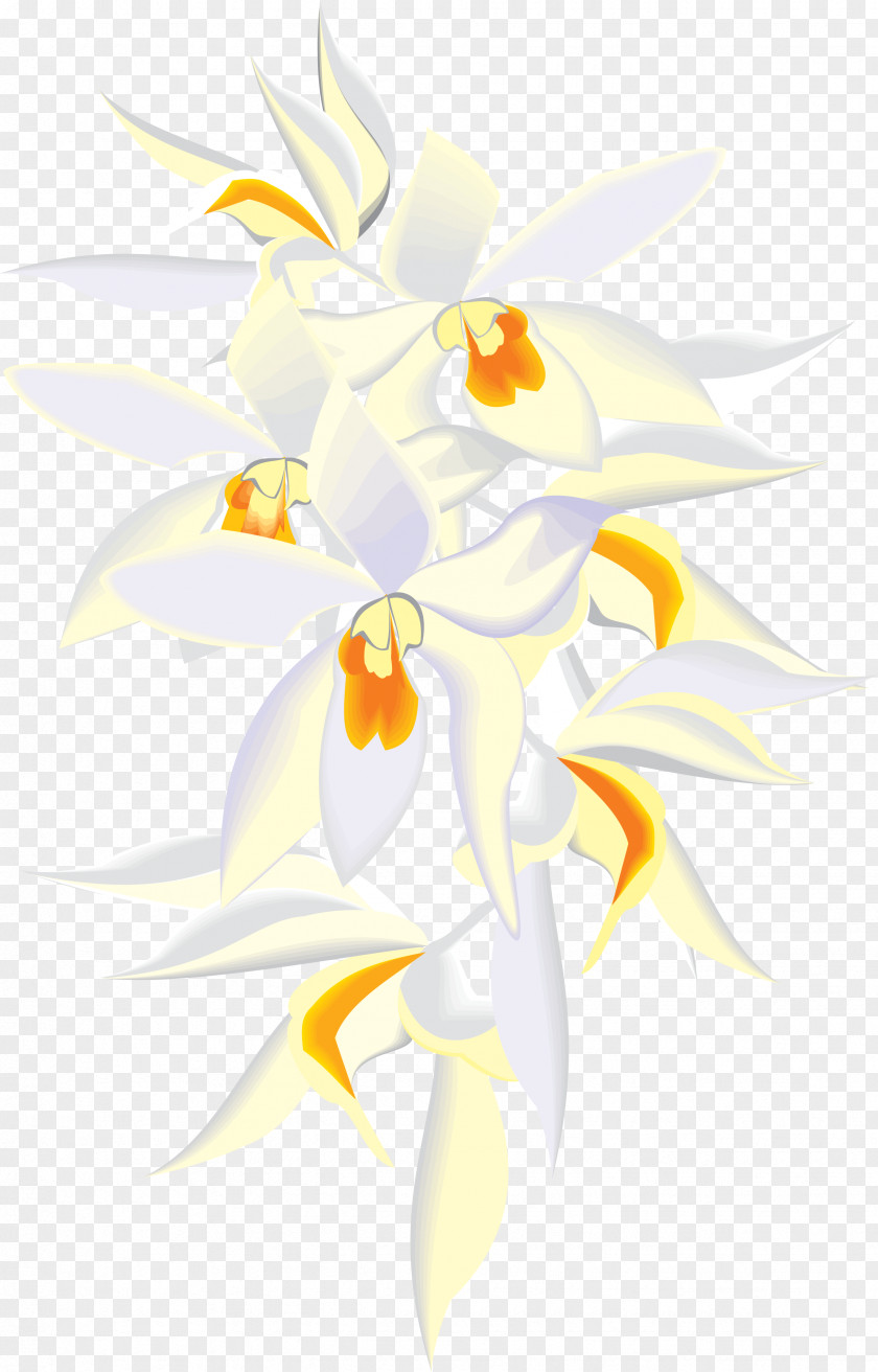 Orchid Animation Orchids Clip Art PNG