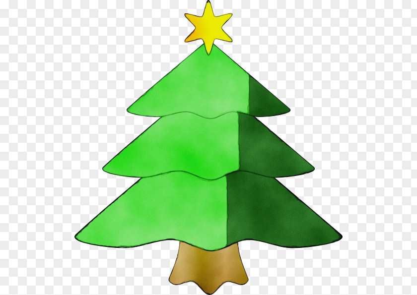 Plant Spruce Christmas Tree Watercolor PNG