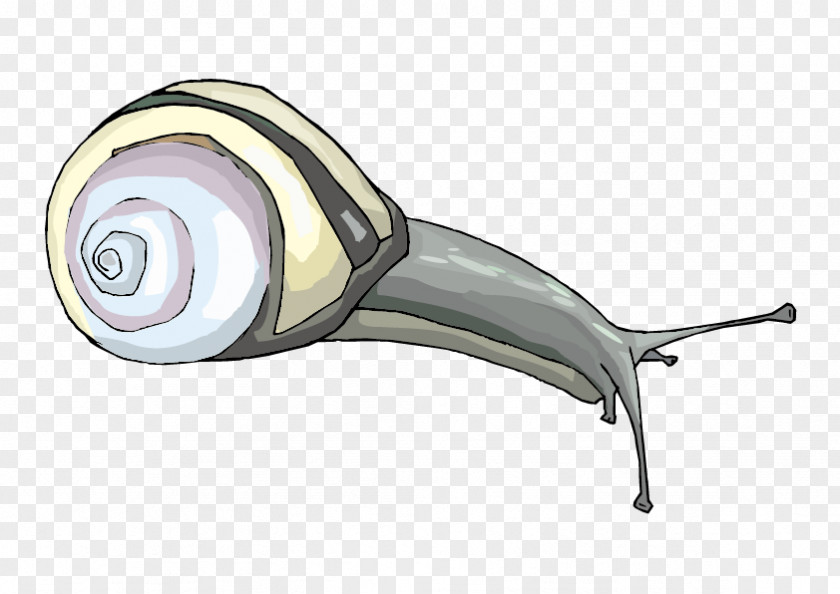 Vector Cartoon Snail Escargot Gastropods Clip Art PNG