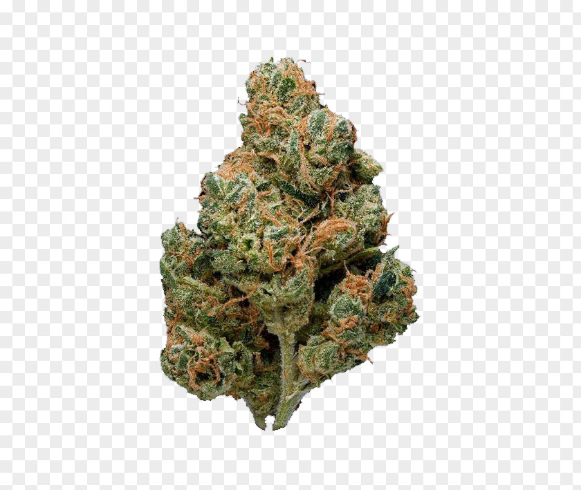 Cannabis Sour Diesel Kush Cup PNG