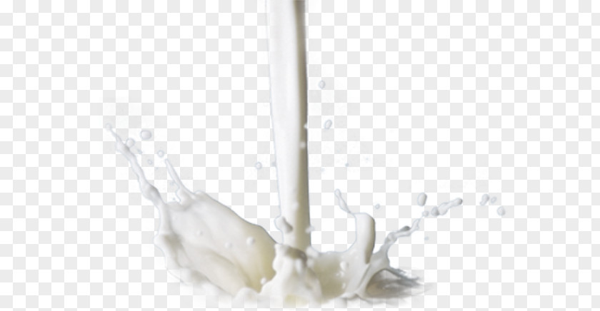 Design Dairy Products PNG