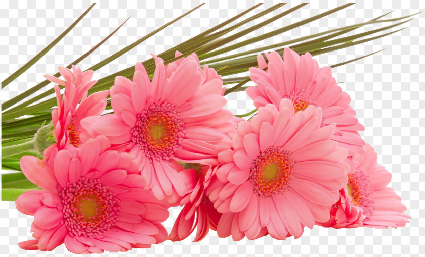 Flower Desktop Wallpaper Bouquet High-definition Television PNG