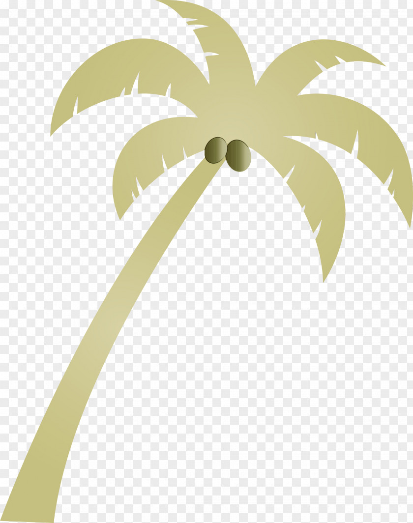 Palm Trees PNG