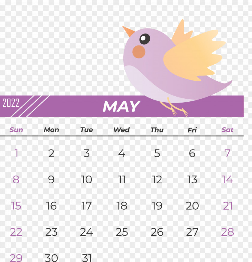 Birds Line Calendar Beak Font PNG