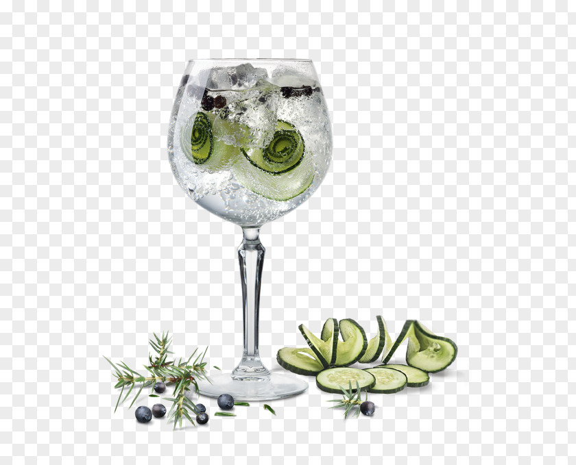 Coctail Gin And Tonic Cocktail Garnish Vodka PNG