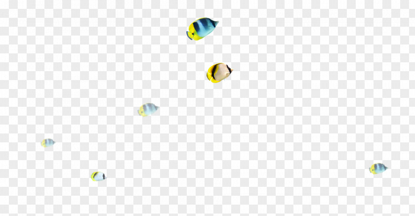 Cute Fish Desktop Wallpaper Sky PNG