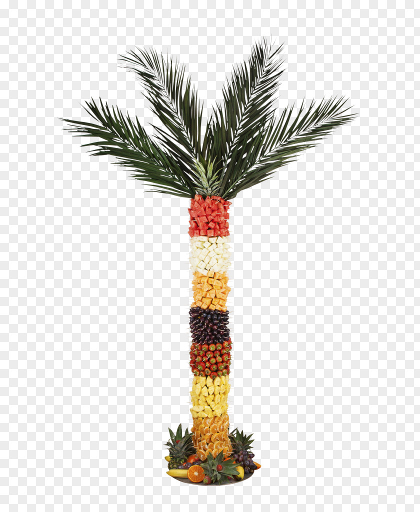 Date Palm Flowerpot Arecaceae PNG