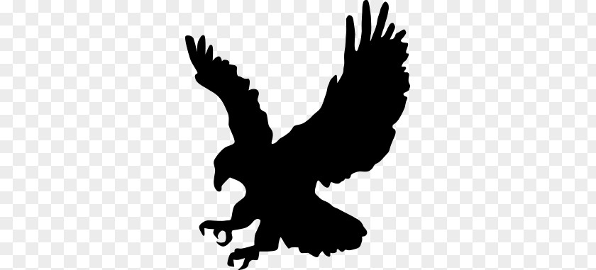 Eagle PNG clipart PNG