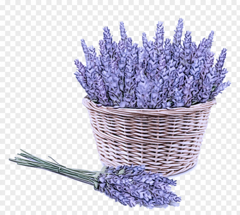 Flowering Plant Grape Hyacinth Lavender PNG