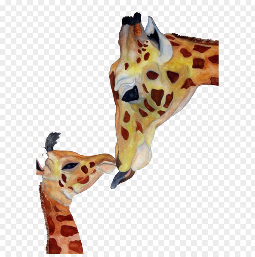 Giraffe Northern Creativity PNG