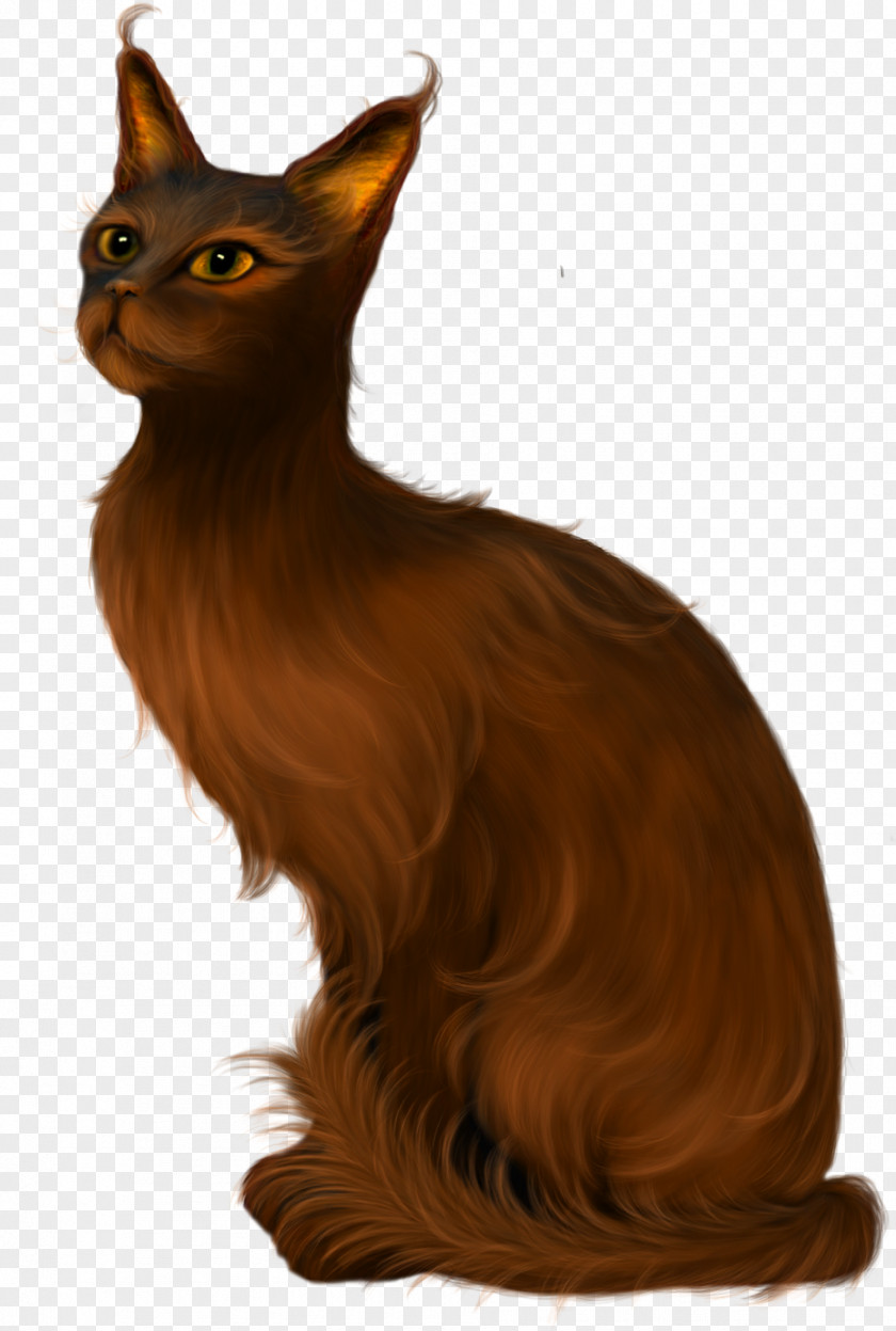 Hand Painted Balinese Cat Havana Brown Burmese Maine Coon Animal PNG