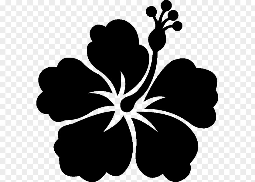 Hawaii Flower Shoeblackplant Stencil Wall Decal Sticker PNG