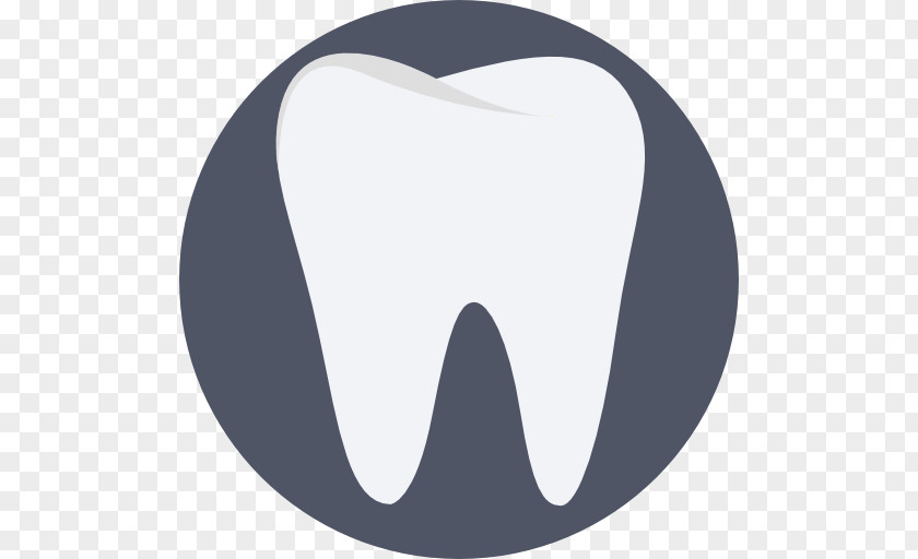 Health Human Tooth Dentistry Mouth Molar PNG