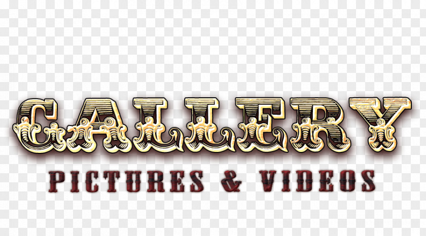 Rodeo Shows 01504 Logo Font Gold PNG