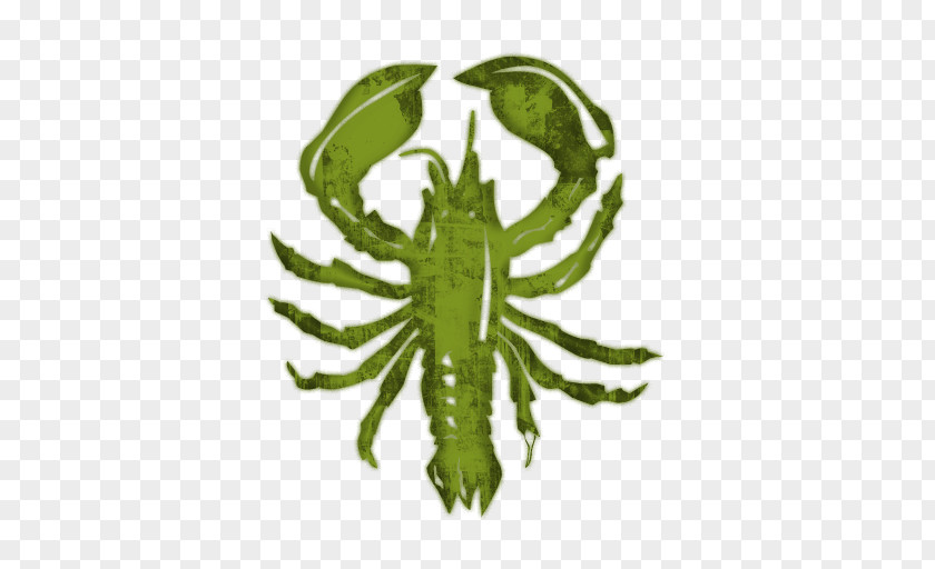 Size Lobster Icon Oyster Crab PNG