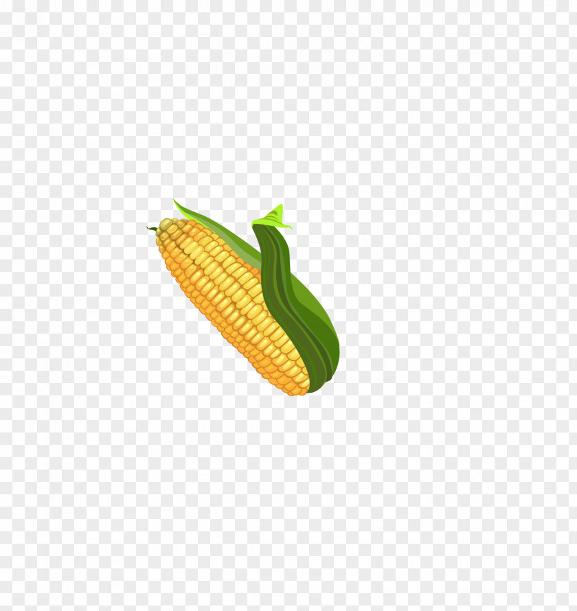A Corn Maize PNG
