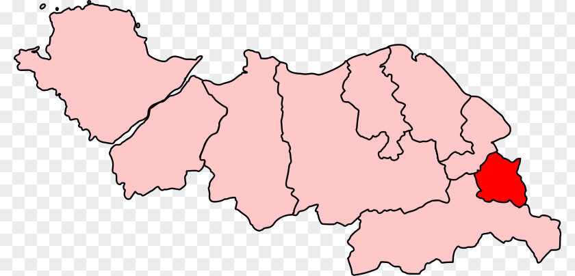 Alyn And Deeside By-election, 2018 Wrexham Clwyd Delyn PNG