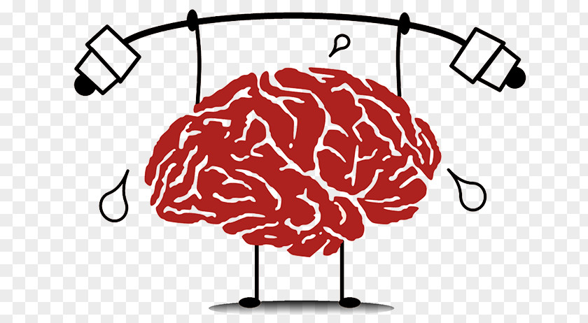 Brain Exercise Cognitive Training Neuroscience Neuroplasticity PNG