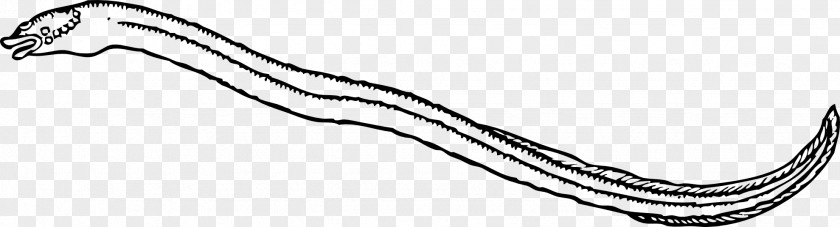 Fish Eel Unagi Lamprey Clip Art PNG