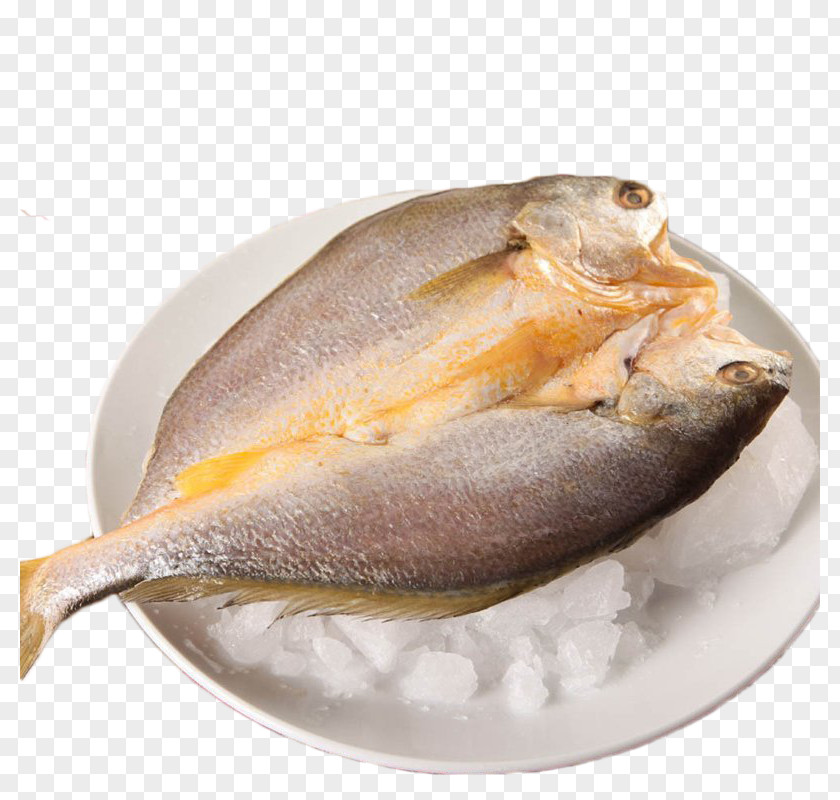 Frozen Yellow Croaker Larimichthys Crocea Kipper Seafood Babi Panggang Fish PNG
