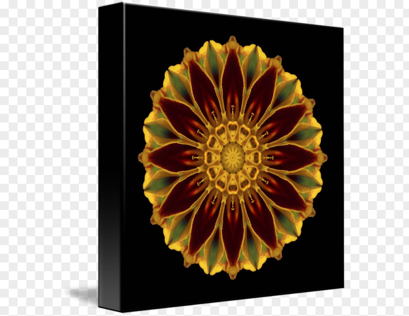 Marigold Flower Mandala Window Imagekind PNG