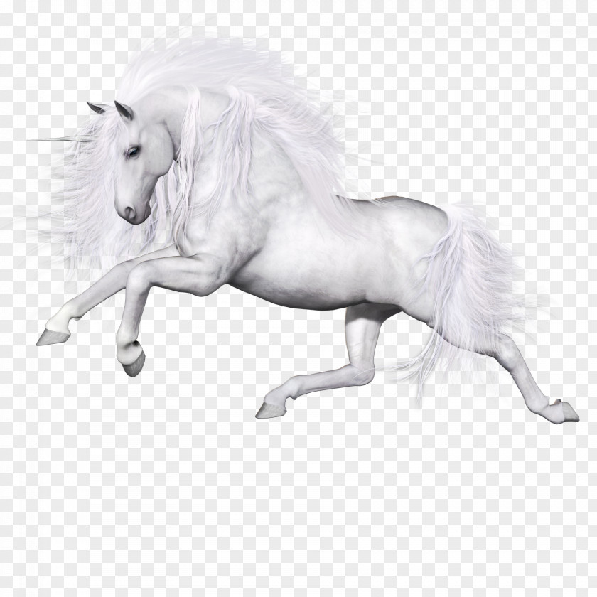 Pegasus Ferghana Horse Unicorn PNG