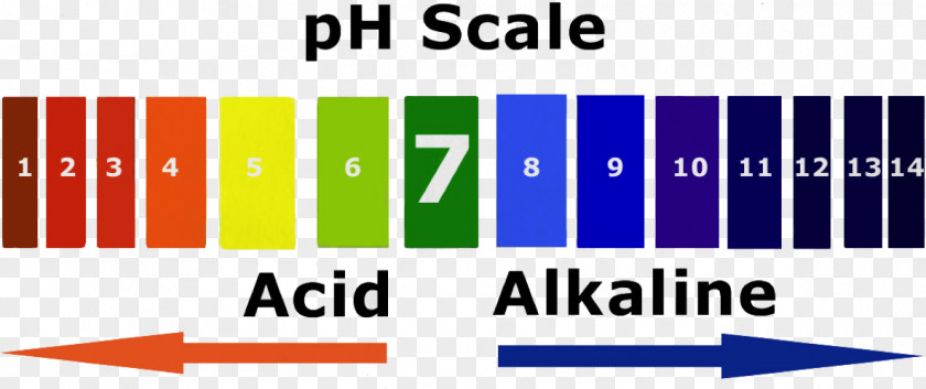 PH Alkalinity Acid–base Reaction PNG