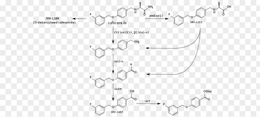 Safinamide Cytochrome P450 Metabolism Metabolite Enzyme PNG