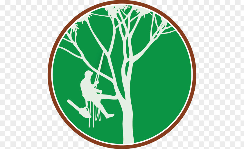Tree Certified Arborist Climbing Arboriculture PNG