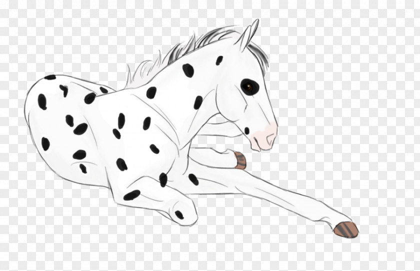 Canter And Gallop Dalmatian Dog Cat Horse Non-sporting Group Paw PNG