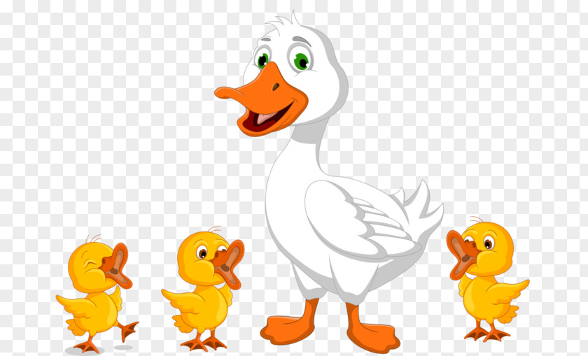 Duck Daisy Drawing Clip Art PNG