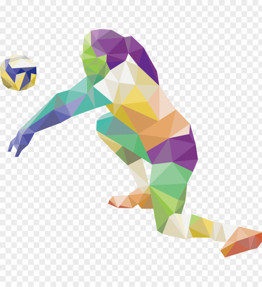 Gorgeous Color Female Volleyball Players Silhouette 2016 Summer Olympics 2012 Sport PNG