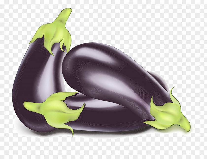 Legume Nightshade Family Watercolor Plant PNG