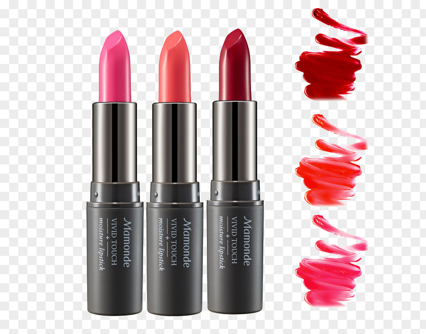 Lipstick Tricolor Contrast Material Lip Balm Cosmetics Make-up PNG