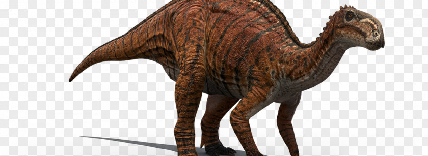 Pet Living Museum Velociraptor Extinction Animal PNG