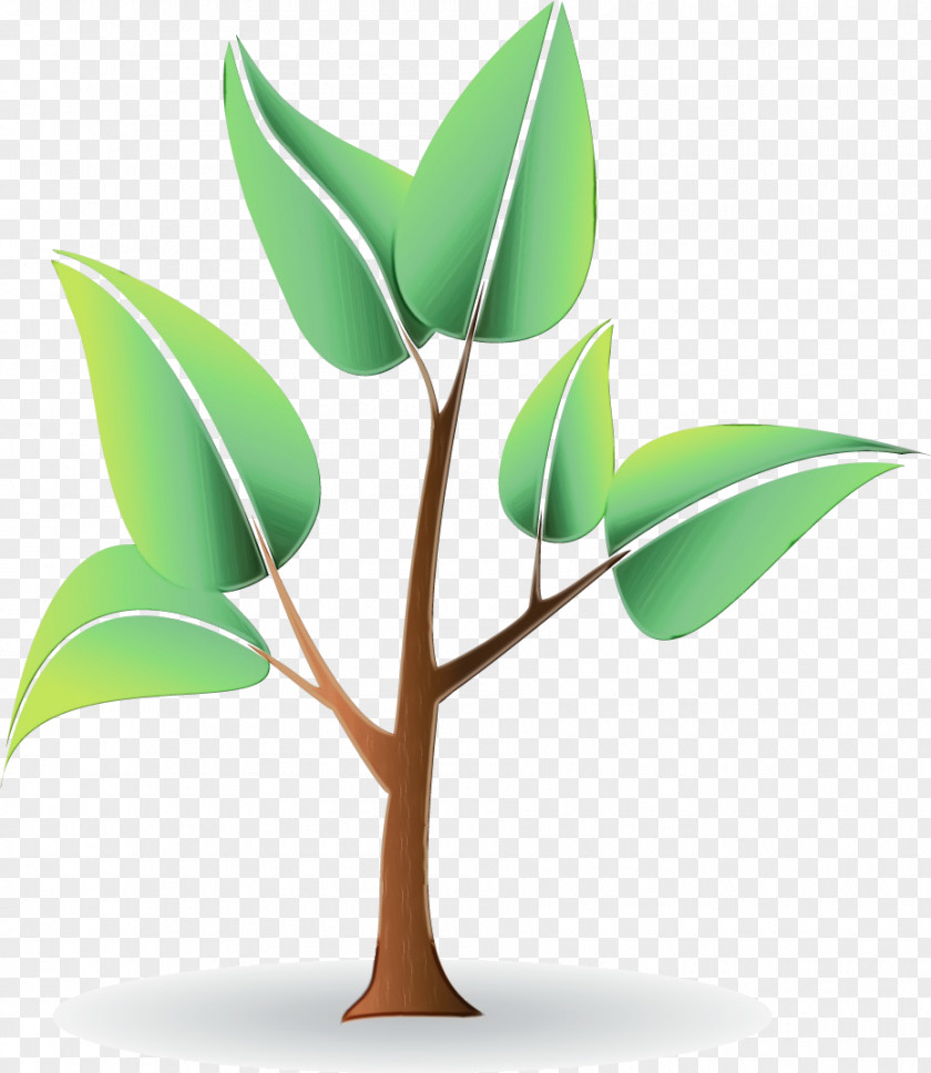 Plant Stem Branch Leaf Font Computer PNG