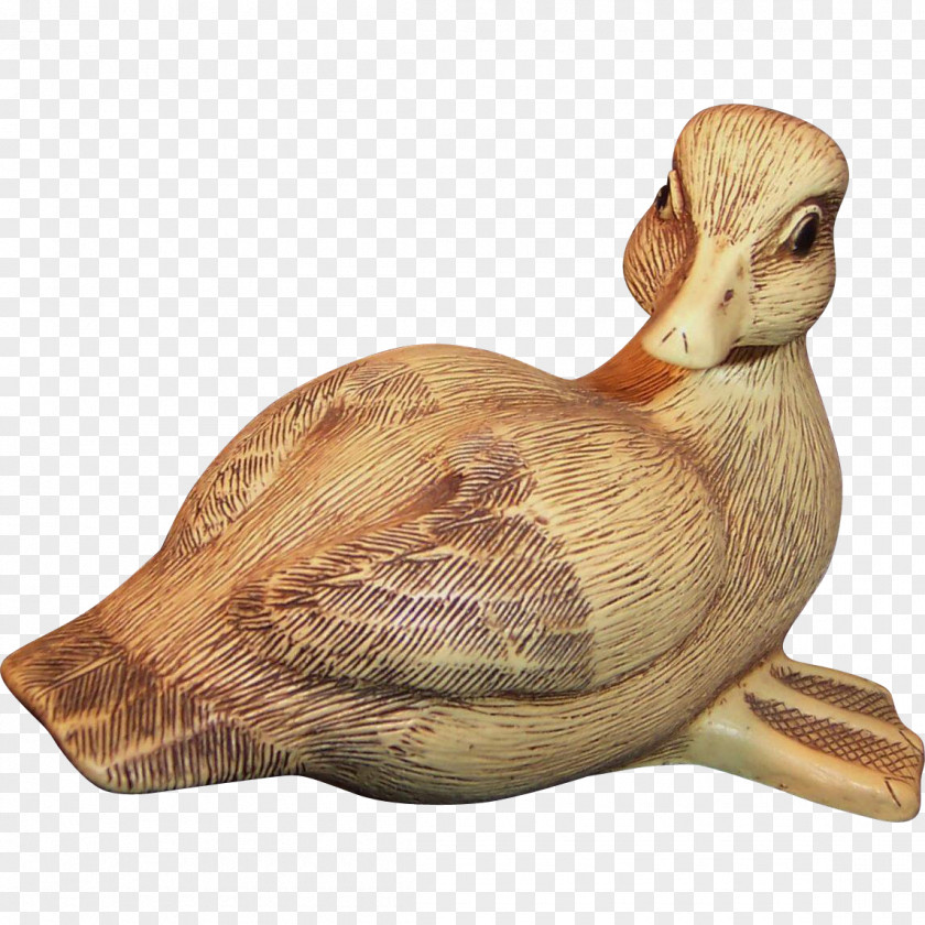 Pond Duck Goose Cygnini Collectable Waterfowl PNG